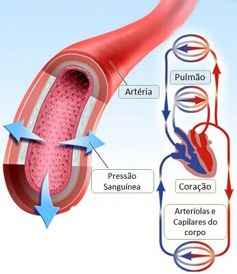 Ilustração mostrando como funciona a circulação sanguínea entre pulmão e coração.