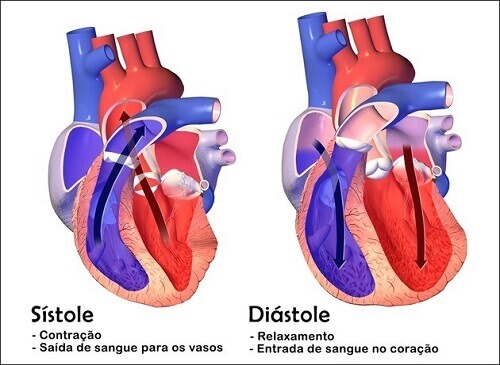 Ilustração mostrando coração em sístole a esquerda e a diástole a direita.