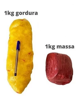 Comparação entre o volume de 1kg de músculo e 1kg de gordura.